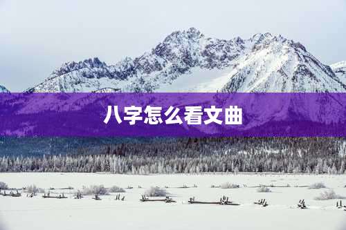 八字怎么看文曲