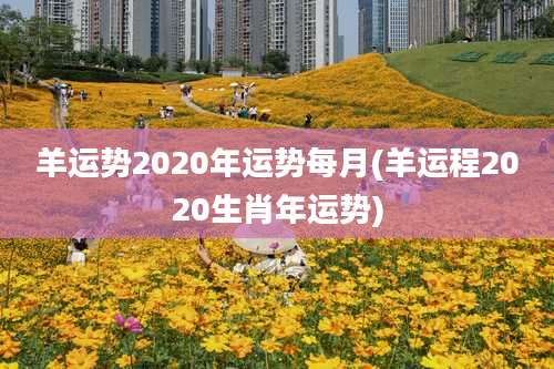 羊运势2020年运势每月(羊运程2020生肖年运势)
