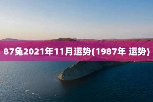 87兔2021年11月运势(1987年 运势)