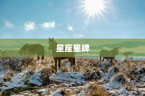 星座星牌