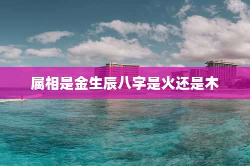 属相是金生辰八字是火还是木