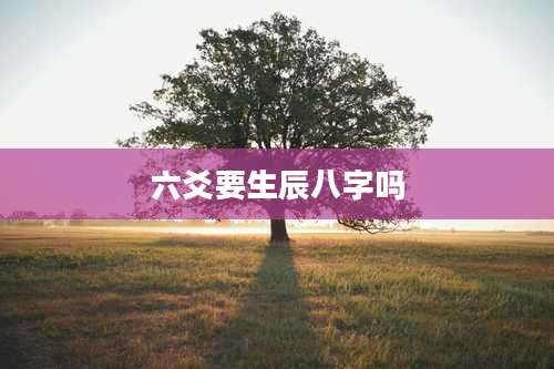 六爻要生辰八字吗