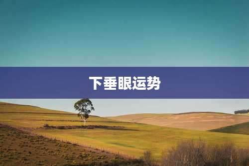 下垂眼运势