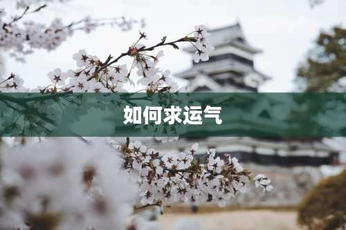 如何求运气