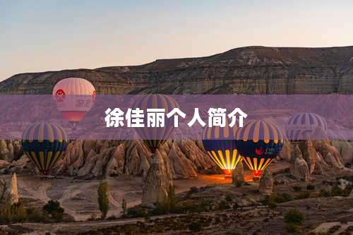 徐佳丽个人简介