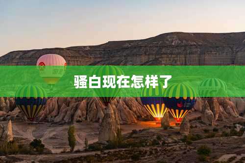 骚白现在怎样了