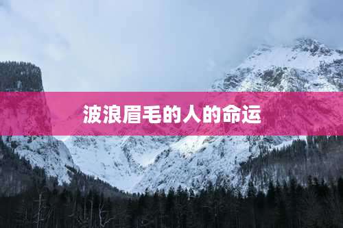 波浪眉毛的人的命运