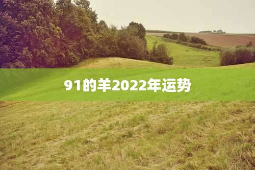 91的羊2022年运势