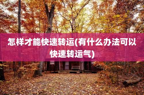 怎样才能快速转运(有什么办法可以快速转运气)