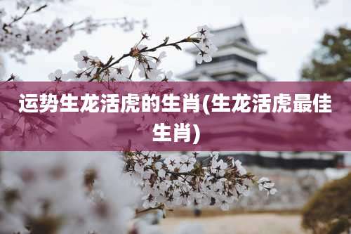 运势生龙活虎的生肖(生龙活虎最佳生肖)