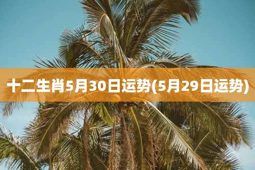 十二生肖5月30日运势(5月29日运势)