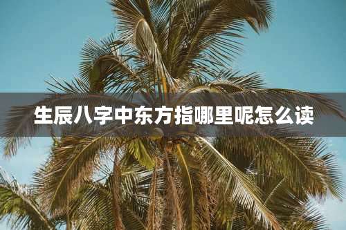 生辰八字中东方指哪里呢怎么读