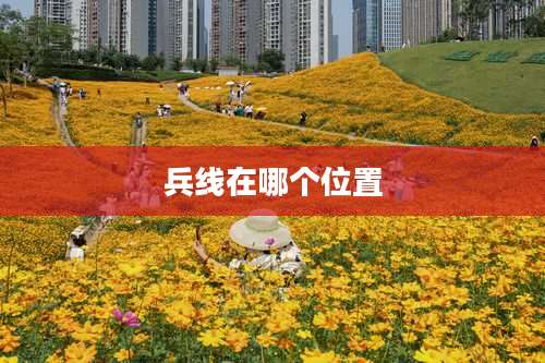 兵线在哪个位置