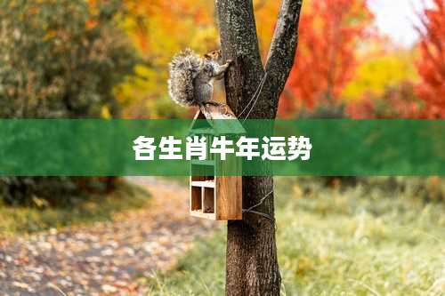 各生肖牛年运势