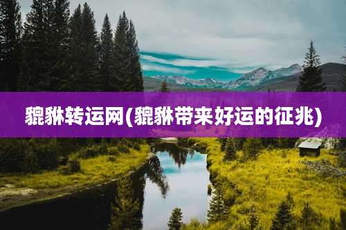 貔貅转运网(貔貅带来好运的征兆)