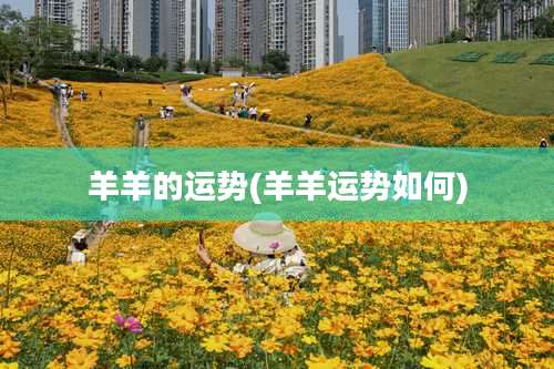 羊羊的运势(羊羊运势如何)