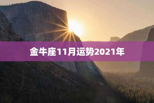 金牛座11月运势2021年