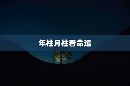 年柱月柱看命运