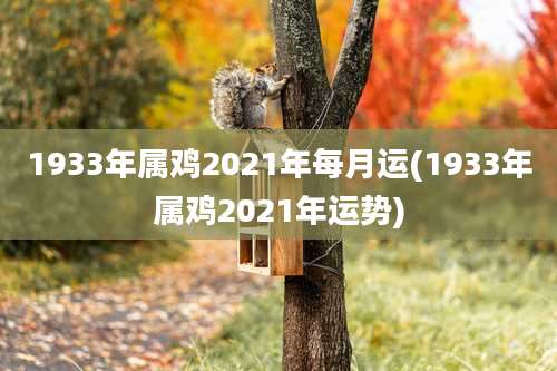 1933年属鸡2021年每月运(1933年属鸡2021年运势)