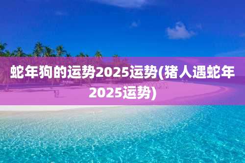 蛇年狗的运势2025运势(猪人遇蛇年2025运势)