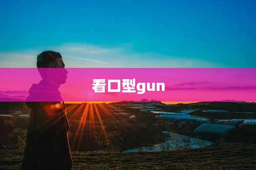 看口型gun