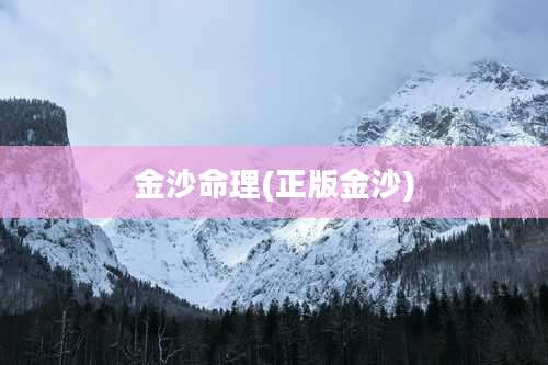 金沙命理(正版金沙)