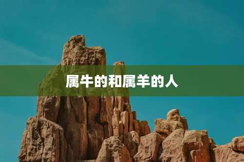 属牛的和属羊的人
