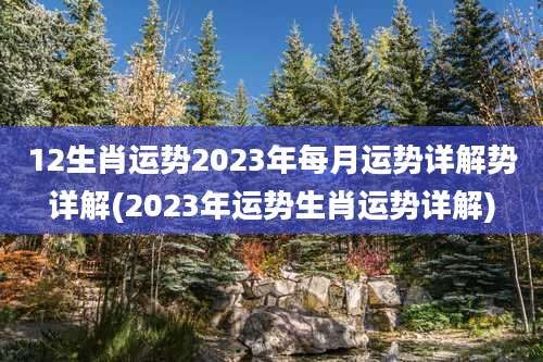 12生肖运势2023年每月运势详解势详解(2023年运势生肖运势详解)