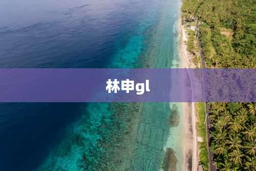 林申gl