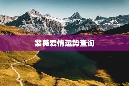 紫薇爱情运势查询