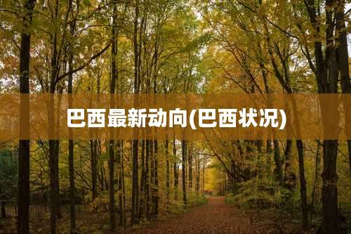 巴西最新动向(巴西状况)