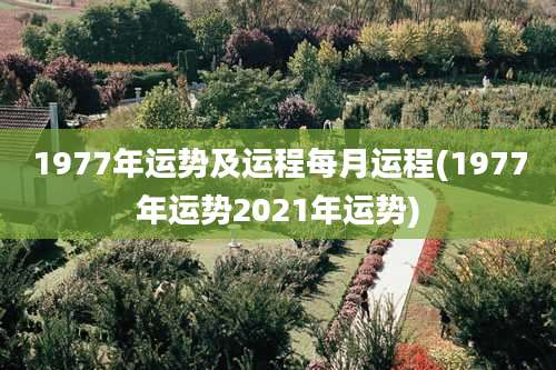 1977年运势及运程每月运程(1977年运势2021年运势)
