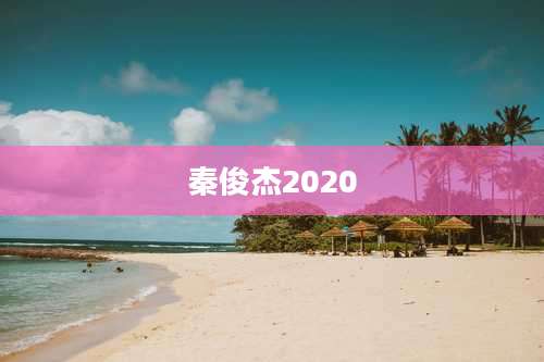 秦俊杰2020