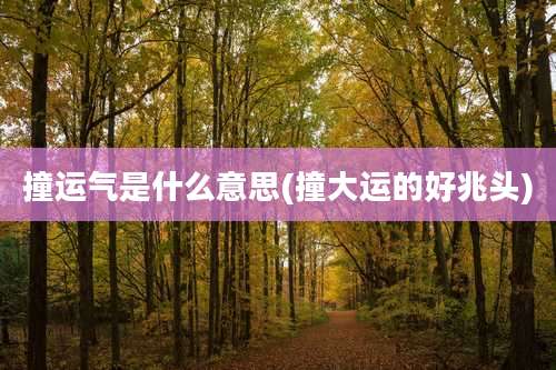 撞运气是什么意思(撞大运的好兆头)