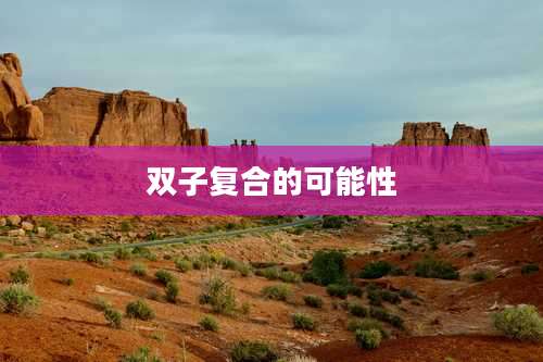 双子复合的可能性