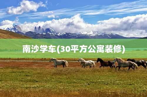 南沙学车(30平方公寓装修)