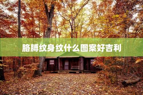 胳膊纹身纹什么图案好吉利