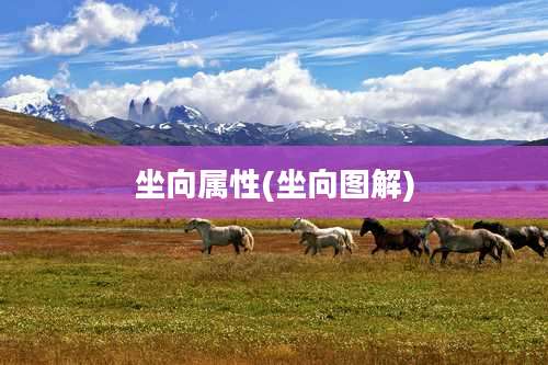 坐向属性(坐向图解)