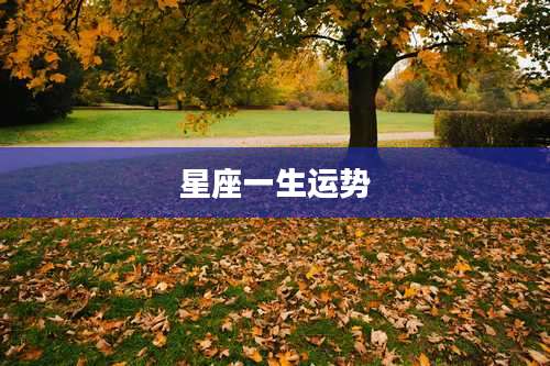 星座一生运势