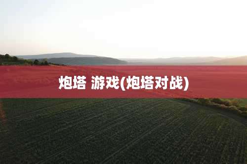 炮塔 游戏(炮塔对战)