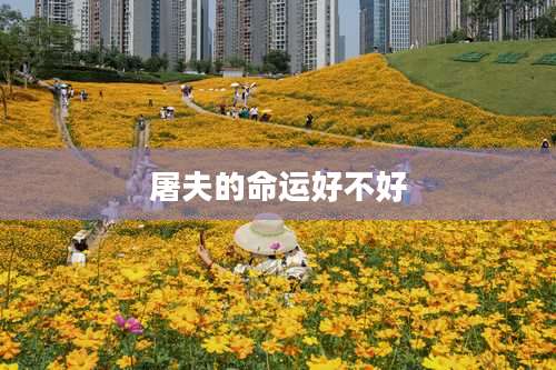 屠夫的命运好不好