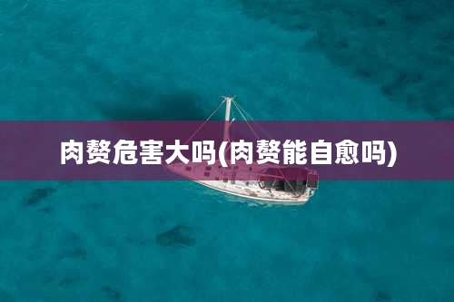 肉赘危害大吗(肉赘能自愈吗)