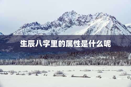 生辰八字里的属性是什么呢