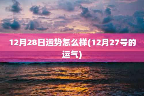 12月28日运势怎么样(12月27号的运气)