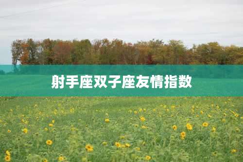 射手座双子座友情指数