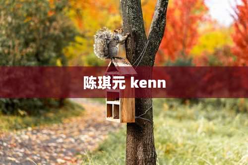 陈琪元 kenn