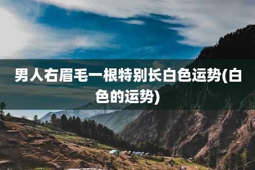 男人右眉毛一根特别长白色运势(白色的运势)