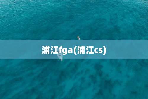 浦江fga(浦江cs)