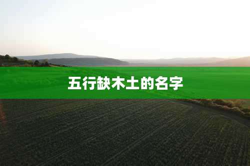 五行缺木土的名字