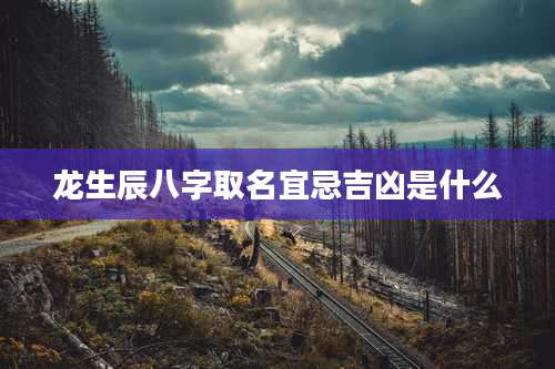 龙生辰八字取名宜忌吉凶是什么